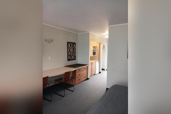Large Studio Unit